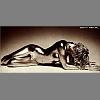 bh2000-sexy_metal-02.jpg 2.6K